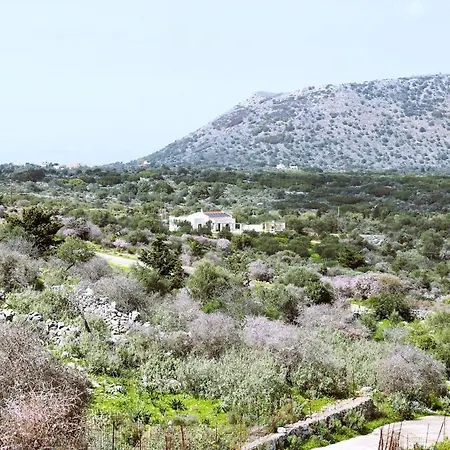 Lisaya, A Peaceful Oasis In A Natural Area Villa Palailonion